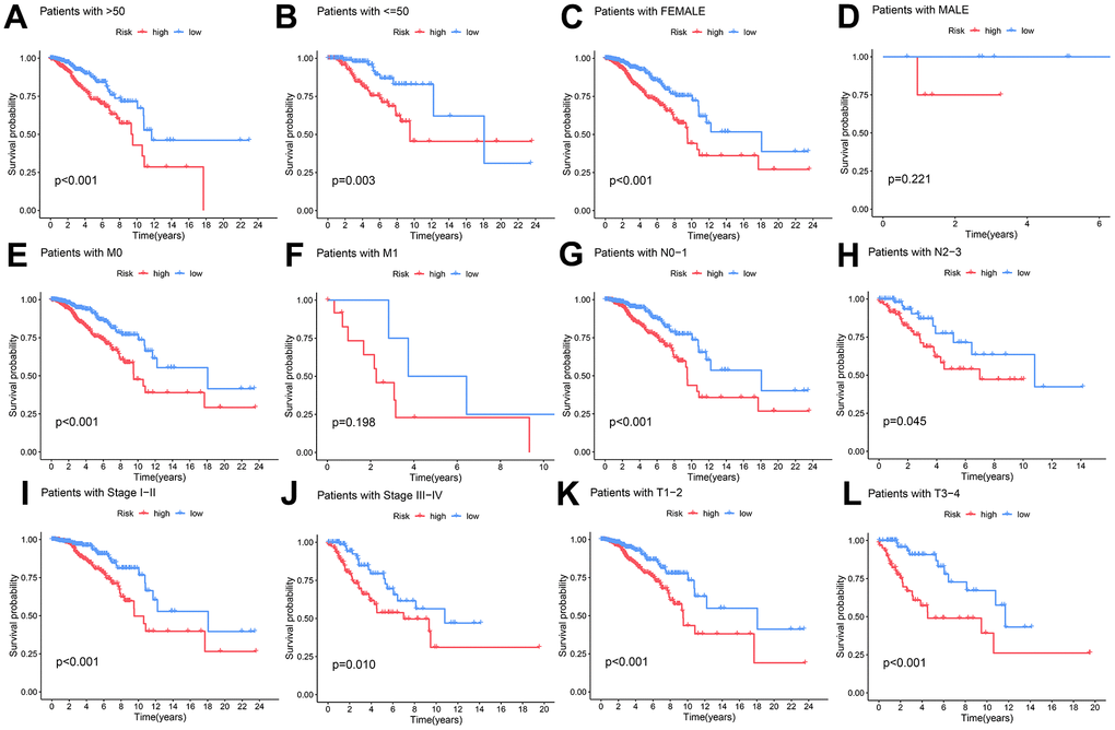 The capacity of the DAL model to forecast survival variations in high and low-risk groups among distinct clinical subgroups. (A, B) age (>50 and ≤50 years), (C, D) gender, (E, F) M stage, (G, H) N stage, (I, J) clinical stage, and (K, L) T stage.