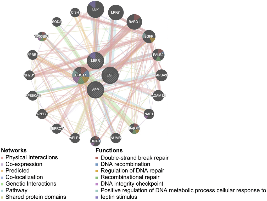 Protein-protein interaction network for the four potential diagnostic biomarkers constructed in GeneMANIA. Different colors of the network edge indicate the bioinformatics method applied: physical interaction, coexpression, predicted, colocalization, pathway, genetic interaction, and shared protein domains.