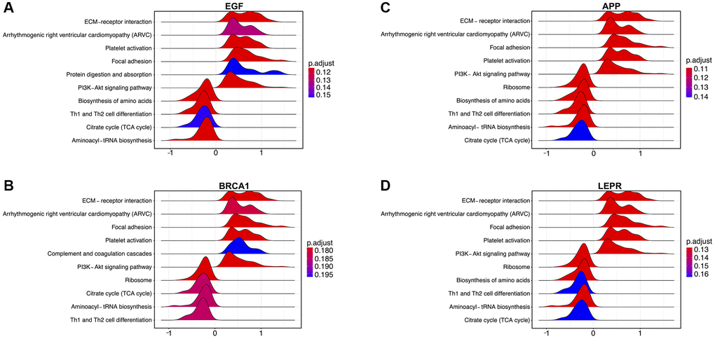 Enrichment analysis of the four potential biomarker genes according to gene set enrichment analysis (GSEA) in the training dataset. (A) Pathways enriched in EGF-mediated signaling, (B) BRCA1-mediated signaling, and (C) signaling by APP in Parkinson’s disease (PD). (D) Signaling by LEPR in PD.