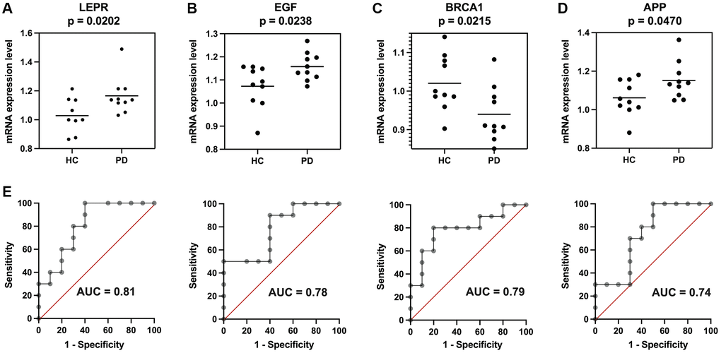 Validation of the four potential biomarkers in an independent cohort. Expression of (A) LEPR, (B) EGF, (C) BRCA1, and (D) APP in Parkinson’s disease (PD) patients and healthy control (HC) subjects. (E) Receiver operating characteristic (ROC) curves of the four genes for diagnosis. *p 