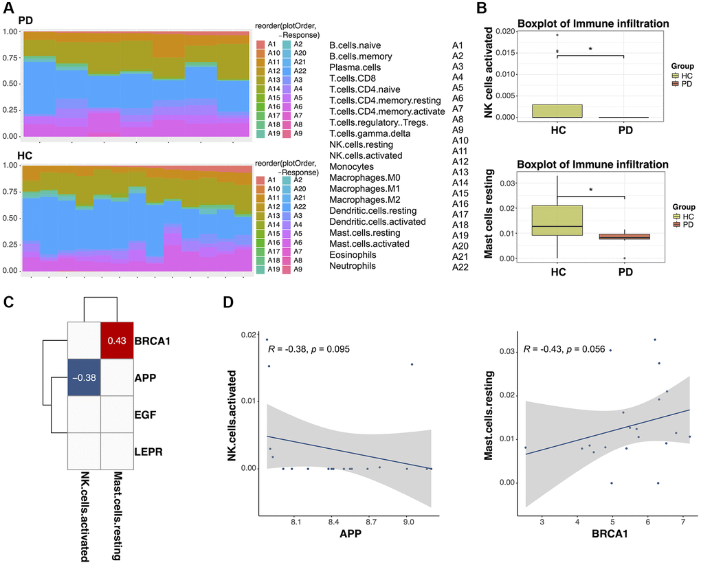 The relationship between diagnostic biomarkers and immune cell infiltration. (A) Heatmap of the infiltration proportions of 22 types of immune cells in Parkinson’s disease (PD) patients and healthy control (HC) subjects. (B) Box plots for the differential proportion analysis of two immune cell types in PD and HC samples. (C) Heatmap of the correlation between diagnostic biomarkers and immune cells. (D) Correlation between APP expression and activated natural killer (NK) cells and correlation between BRCA1 expression and resting mast cells.