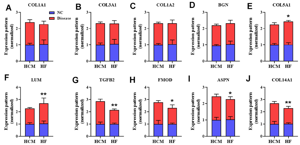 The overlap genes expression pattern in HCM and HF datasets. The expression pattern of COL1A1 (A), COL3A1 (B), COL1A2 (C), BGN (D), COL5A1 (E), and LUM (F), TGFB2 (G), FMOD (H), ASPN (I), COL14A1 (J) in different datasets. Values were normalized to NC group and represented as Mean ± SD (n = 3 in HCM dataset, n = 13 in HF dataset). *P **P