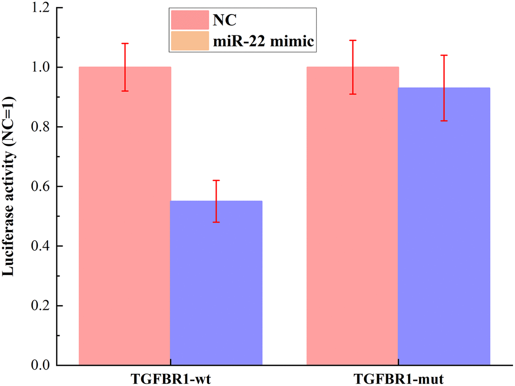 The identification of miR-22 binding to TGFBR1 using dual luciferase reporters.