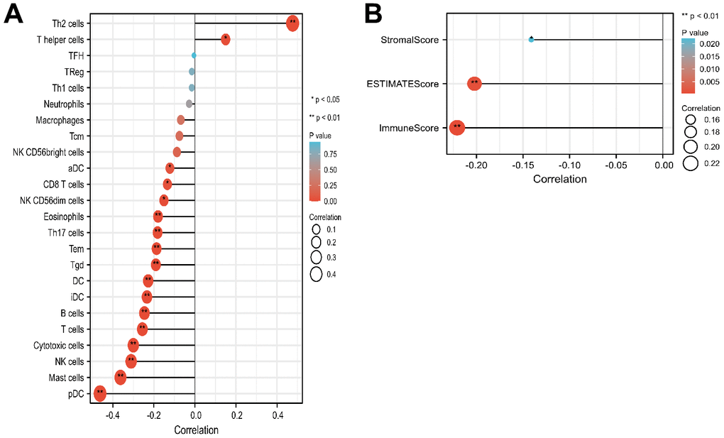 Correlation of LMNB2 expression with immune landscape in SARC. (A) Correlation analysis of the LMNB2 gene transcript and immune infiltration in SARC. (B) Correlation analysis of the LMNB2 gene transcript and estimate score, immune score, and stromal score in SARC.