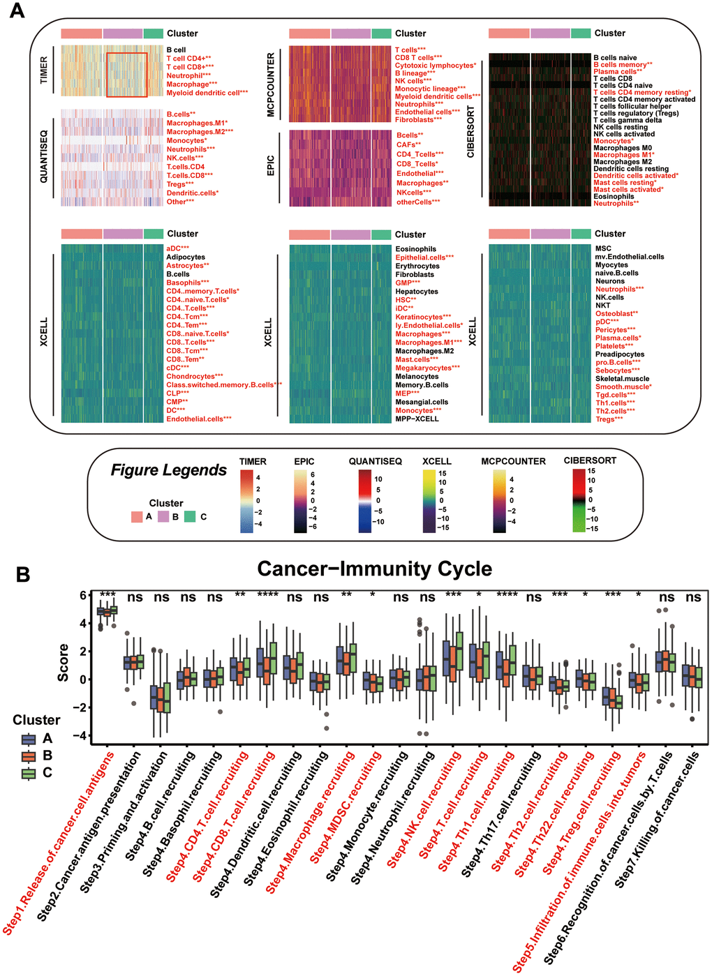 Comparison of the Specific Immune Infiltration Landscape among Three Subgroups. (A) Heatmap of immune cell infiltration among the subtypes. (B) Boxplot of cancer immunity cycle in three mitophagy modification subtypes. Statistical significance denoted as ****p p p p 