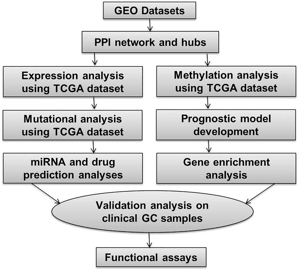 This figure illustrates the overall methodology utilized in the present study.