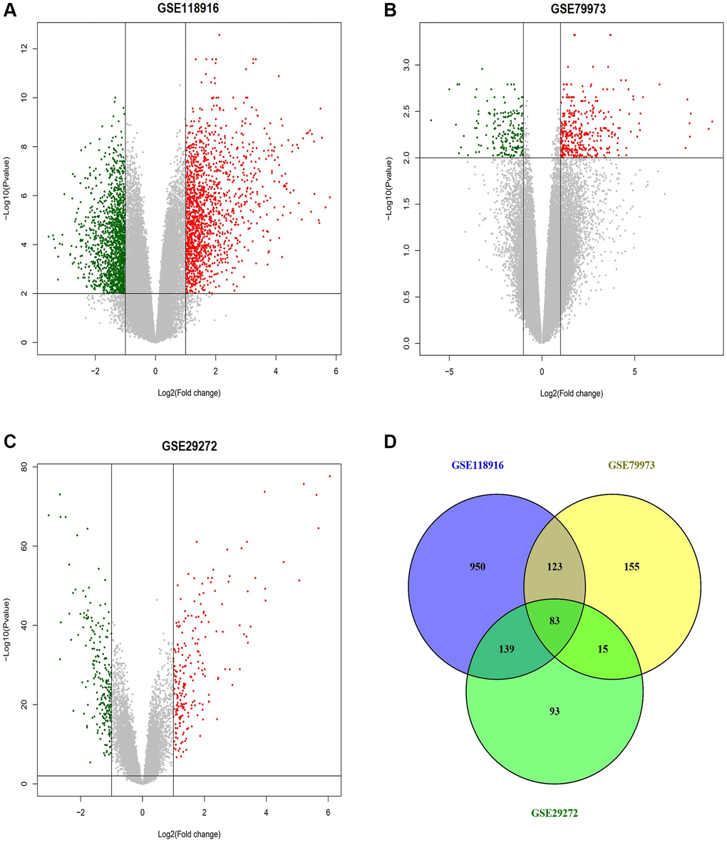 This figure depicts the process of identifying differentially expressed genes (DEGs) across the GSE118916, GSE79973, and GSE29272 datasets related to gastric cancer (GC). (A) Volcano plot of differentially expressed genes (DEGs) in the GSE118916 dataset. (B) Volcano plot of DEGs in the GSE79973 dataset. (C) Volcano plot of DEGs in the GSE29272 dataset. (D) Venn diagram showing the overlap of DEGs among the three datasets (GSE118916, GSE79973, and GSE29272). Red dots represent up-regulated genes, and green dots represent down-regulated genes. The numbers in Venn diagram represent the count of unique and overlapping genes among the datasets. P-value 