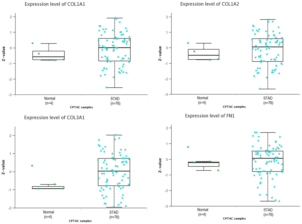 Proteomic expression analysis of COL1A1, COL1A2, COL3A1, and FN1 using additional database. This figure presents the proteomic expression analysis of COL1A1, COL1A2, COL3A1, and FN1 in gastric cancer (GC) and normal samples via UALCAN database. P-value 