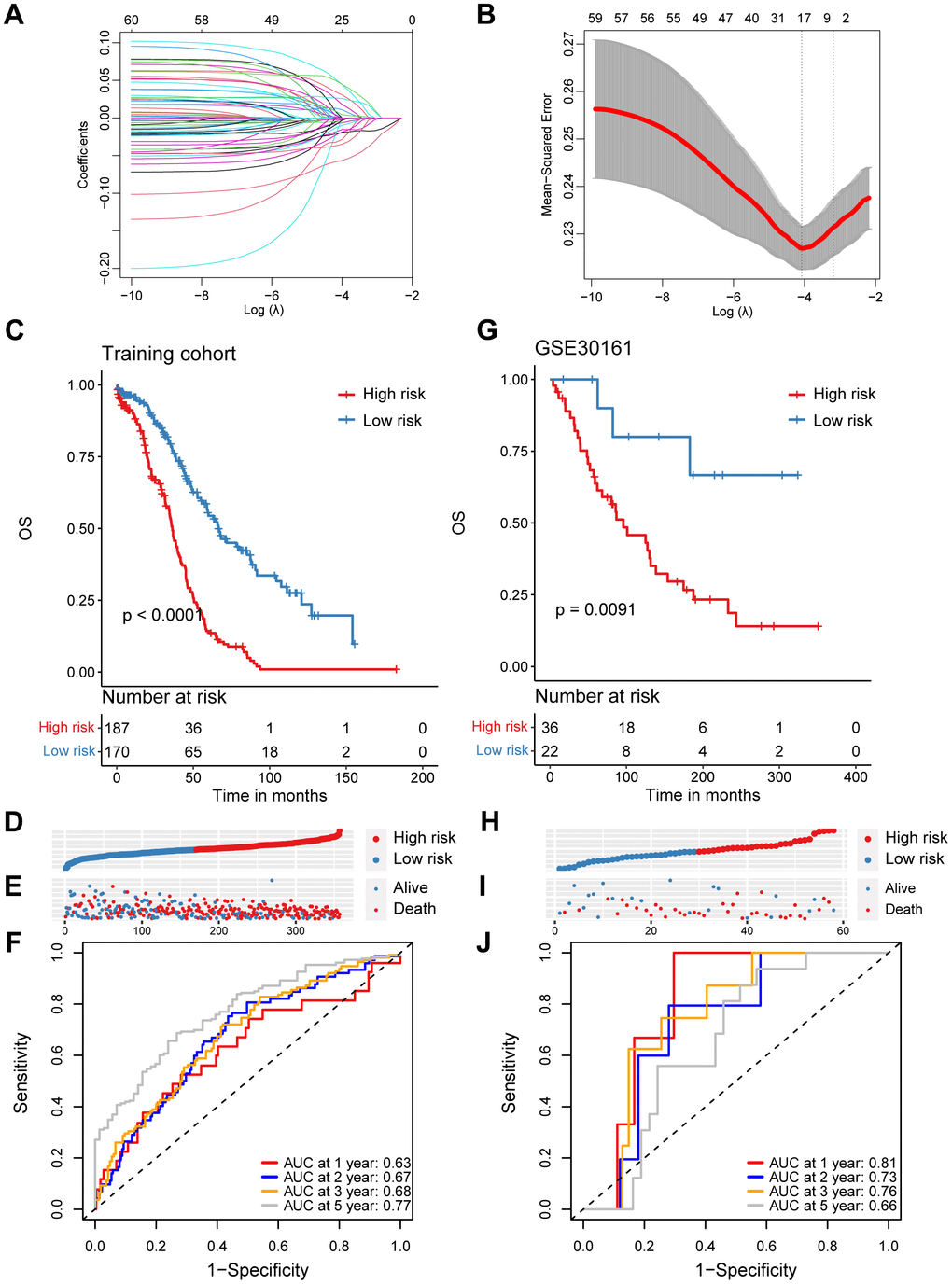 Construction and validation of a prognostic model based on specific CD8+ T cell markers in ovarian cancer. (A) Coefficient profiles in the LASSO regression model. (B) Cross-validation for tuning parameter selection in the LASSO regression. (C) Kaplan-Meier survival analysis was performed on the relationship between the risk score and OS using the TCGA training cohort. (D) The rank of risk score in the TCGA training cohort. (E) Survival status in the TCGA training cohort. (F) Time-dependent ROC curve analysis of the prognostic model (1, 2, 3, and 5 years) in the TCGA training cohort. (G) Kaplan-Meier survival analysis was performed on the relationship between the risk score and OS using the GSE30161 validation cohort. (H) The rank of risk score in the GSE30161 validation cohort. (I) Survival status in the GSE30161 validation cohort. (J) Time-dependent ROC curve analysis of the prognostic model (1, 2, 3, and 5 years) in the GSE30161 validation cohort.