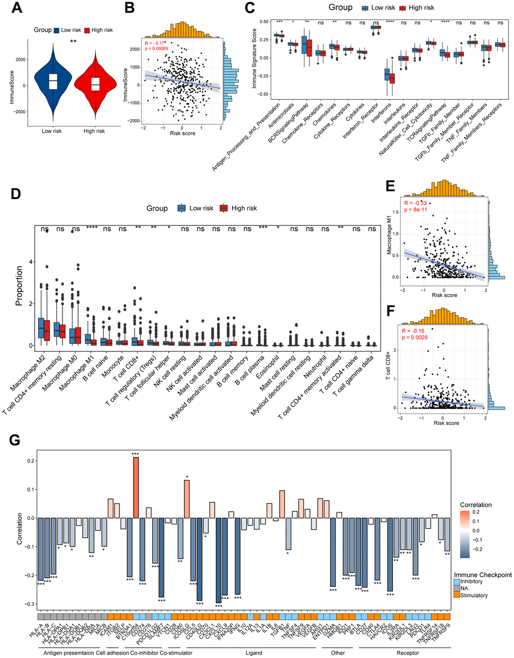 Dissection of tumor immune microenvironment features based on CD8+ T cell-related prognostic signature. (A) Immune score in high/low-risk groups. (B) Spearman correlation between Immune score and risk score. (C) Boxplots showing the signature score of 17 immune pathways in high/low-risk groups of ovarian cancer scored by GSVA. Paired two-sided Wilcoxon test. (D) Boxplots showing the proportion of 22 immune cells in high/low-risk groups of ovarian cancer estimated by CIBERSORT. Paired two-sided Wilcoxon test. (E, F) Scatter plots showing the correlation between the risk score and the proportion of M1-like macrophages and CD8+ T cells (G) Bar plot of the correlation between immunomodulators and the risk score. The asterisks represent the statistical P-value (*p0.05).