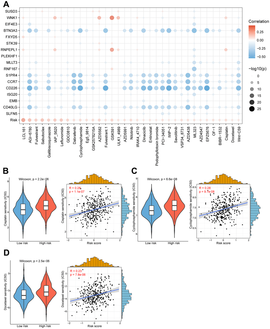 High/low-risk group patients differ in drug sensitivity and response to immunotherapy. (A) Bubble plot showing the relationship between drugs, risk score, and model genes. (B) Violin plot showing the comparison of IC50 of cisplatin between high/low-risk groups, and scatter plot showing the correlation between the IC50 of drugs and the risk score. (C) Violin plot showing the comparison of IC50 of cyclophosphamide between high/low-risk groups, and scatter plot showing the correlation between the IC50 of drugs and the risk score. (D) Violin plot showing the comparison of IC50 of docetaxel between high/low-risk groups, and scatter plot showing the correlation between the IC50 of drugs and the risk score.