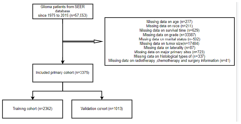 The flow diagram of how cases were selected from the SEER database.
