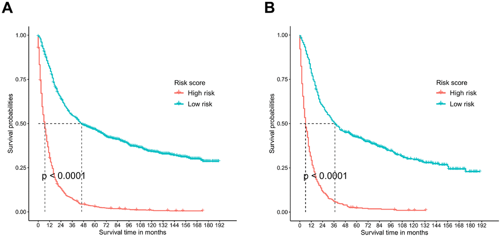 Survival analysis performed by Kaplan-Meier analysis. (A) Training cohort. (B) Validation cohort.