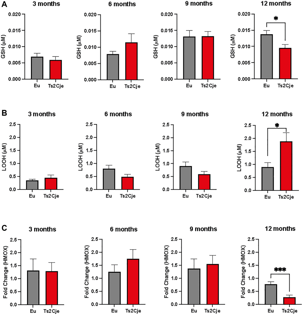 DS mice are characterized by an increased oxidative stress. (A) GSH levels are decreased in Ts2Cje 12-months old mice liver. Representative scheme for GSH quantitation in Eu and Ts2Cje livers obtained from 3-, 6-, 9-, and 12-months old mice. (B) LOOH levels are increased in Ts2Cje 12-months old mice liver. Histograms representative of LOOH spectrophotometric evaluation on Eu and TS2Cje livers obtained from 3-, 6-, 9-, and 12-months old mice. (C) HMOX1 expression is downregulated in Ts2Cje 12-months old livers. Representative histogram of the real-time PCR against HMOX1 on the liver extract obtained from 3-, 6-, 9-, and 12-months old Eu and Ts2Cje mice. GAPDH was used as housekeeping gene. Histograms are representative of four different experiments (*P ≤ 0.05; ***P ≤ 0.001).