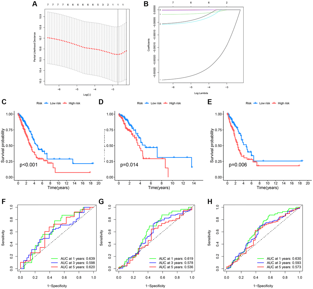Survival curves and ROC analysis of the risk model in training and testing groups. (A, B) Lasso analysis display; (C–E) Survival curves showing prognostic survival status for different models; (F–H) ROC curves predicting 1-year, 3-year, and 5-year survival sensitivity and specificity based on risk scores in training, testing, and entire cohorts.