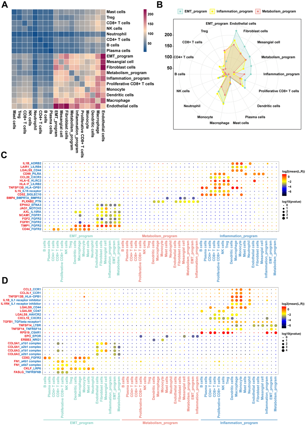 Intercellular communication networks orchestrated by functionally heterogeneous cancer cells and other cellular identities in ccRCC TME. (A) Heatmap plot of the number of ligand-receptor pairs across disparate cell clusters. (B) Radar plot of quantitative comparisons of ligand-receptor pairs across cancer cells in disparate meta programs. (C) Dot plots of mean interaction strengths of ligand-receptor pairs between functionally heterogeneous cancer cells, with dot sizes indicating the P-value and colored by the average expression level of the receptor in cancer cells. The plot for expression levels of the receptor in functionally heterogeneous cancer cells. (D) The plot showing the expression levels of the ligand in functionally heterogeneous cancer cells.