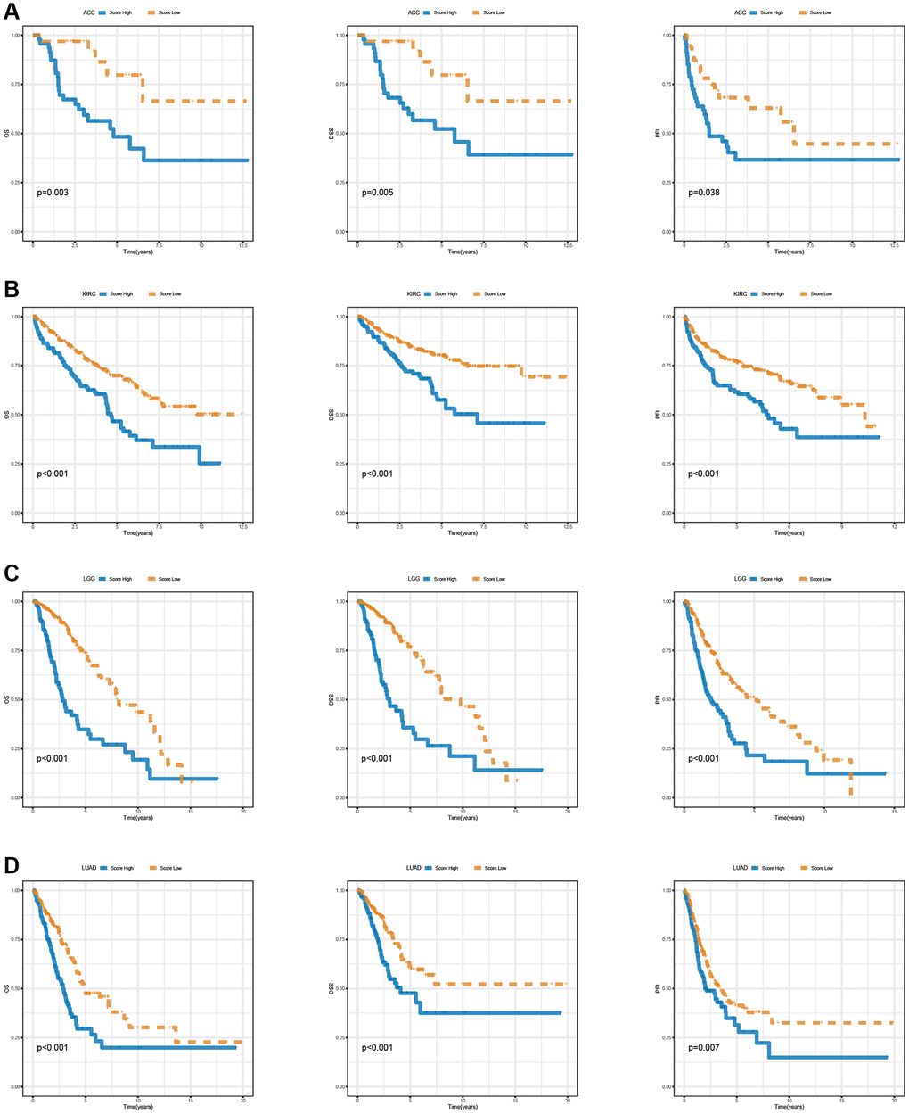 Survival analysis of T cell proliferation regulatory genes score in ACC (A), KIRC (B), LGG (C), and LUAD (D), including OS, DSS, and PFI.