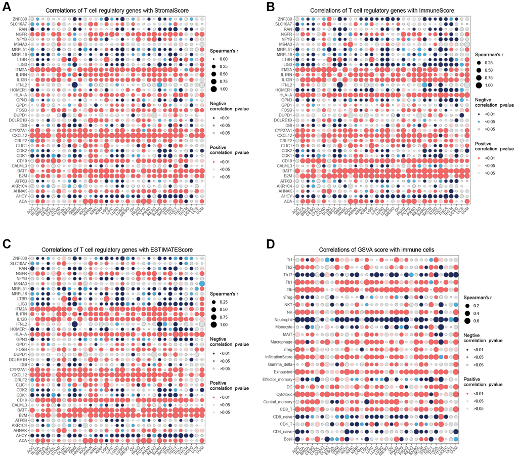 Immune infiltration analysis. (A) Correlation analysis of T cell proliferation regulatory genes with StromalScore. (B) Correlation analysis of T cell proliferation regulatory genes with ImmuneScore. (C) Correlation analysis of T cell proliferation regulatory genes with ESTIMATEScore. (D) Correlation analysis of T cell proliferation regulatory genes’ GSVA score with immune cells.