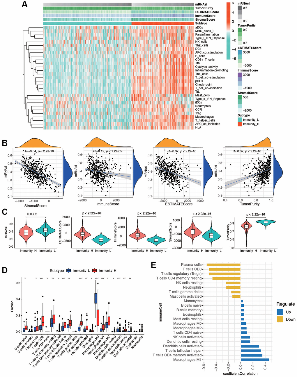 The tumor immune microenvironment patterns and immunogenomic features of EC associated with the mRNAsi. (A) The immune cells were highly expressed in the cluster 1, which was named as the high immune cell infiltration group (Immunity