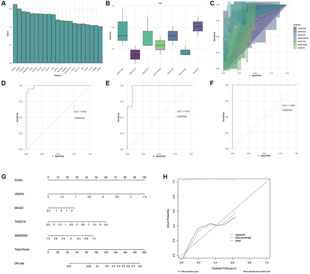 Construction and validation of the diagnostic model for DN. (A) Identification of the four most significant genes (VEGFA, MAGI2, THSD7A, and ANKRD28) through feature screening. (B, C) Comparison of machine learning models, with the KNN method showing superior accuracy and AUC in distinguishing DN from control samples. (D–F) Performance evaluation of the diagnostic model in training and validation cohorts (GSE30122, GSE30528, and GSE30529) with AUC >0.9. (G, H) Nomogram construction for clinical application, enabling accurate prediction of DN risk based on gene expression.