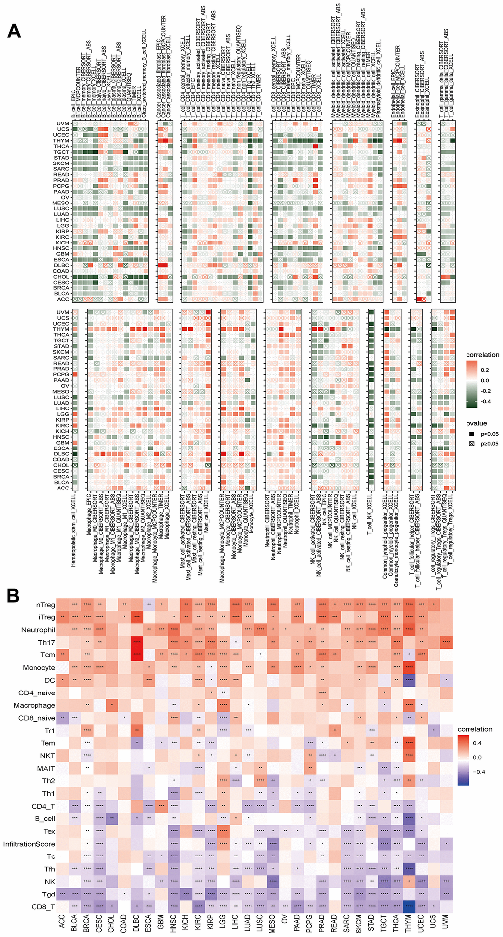 Analyses of the associations between immune cell infiltration and the disulfidptosis score were performed on a variety of tumor types. (A) The correlation between disulfidptosis score and different immune cell infiltrations using the TIMER2 database in pan-cancer. (B) The correlation between disulfidptosis score and different immune cell infiltrations using the ImmuCellAI database in pan-cancer. The red label indicated a positive correlation with the disulfidptosis score, and the dark green label indicated a negative correlation with the disulfidptosis score. *P