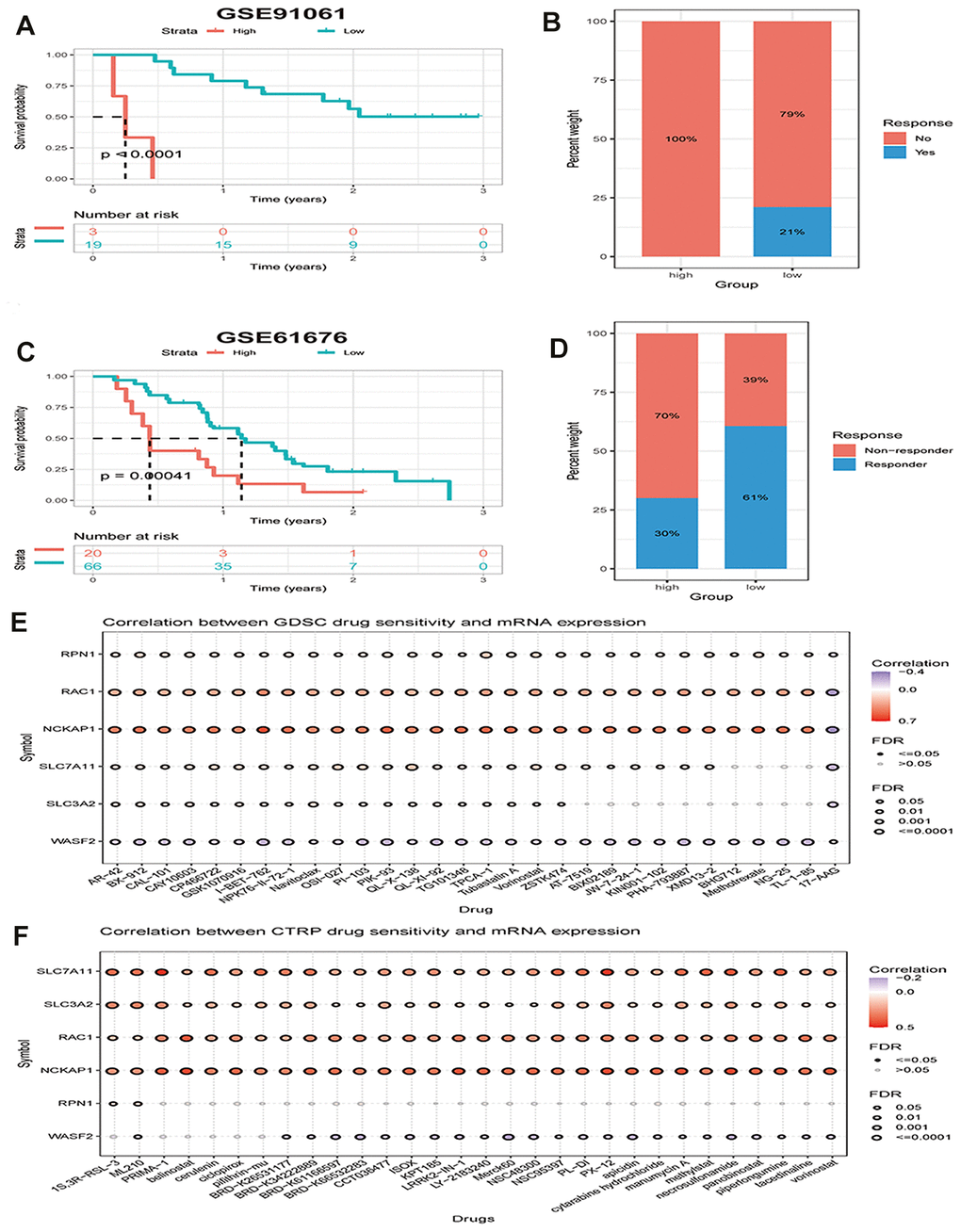 The disulfidptosis score is associated with response to therapy in multiple cancer types. (A) Kaplan–Meier curves of OS between low and high groups stratified by the disulfidptosis score in the melanoma immunotherapy dataset. (B) The response rate to immunotherapy in low and high groups stratified by disulfidptosis score in the melanoma dataset. (C) Kaplan-Meier curves for OS in late-stage non-squamous non-small cell lung cancer combined targeted therapy (bevacizumab + erlotinib) comparing low and high groups stratified by the disulfidptosis score. (D) The response rate to combined targeted therapy (bevacizumab + erlotinib) in late-stage non-squamous non-small cell lung cancer in low and high groups stratified by disulfidptosis score. (E, F) Bubble plot showing the relationship between mRNA expression of genes related to disulfidptosis in pan-cancer and GDSC or CTRP drug sensitivity (top 30). The color from blue to red represents the correlation between mRNA expression and IC50. Blue bubbles represent negative correlations; red bubbles represent positive correlations; the deeper the color, the higher the correlation. A positive correlation means that a gene with a high level of expression is resistant to the drug, and vice versa. The bubble size positively correlates with the FDR significance.