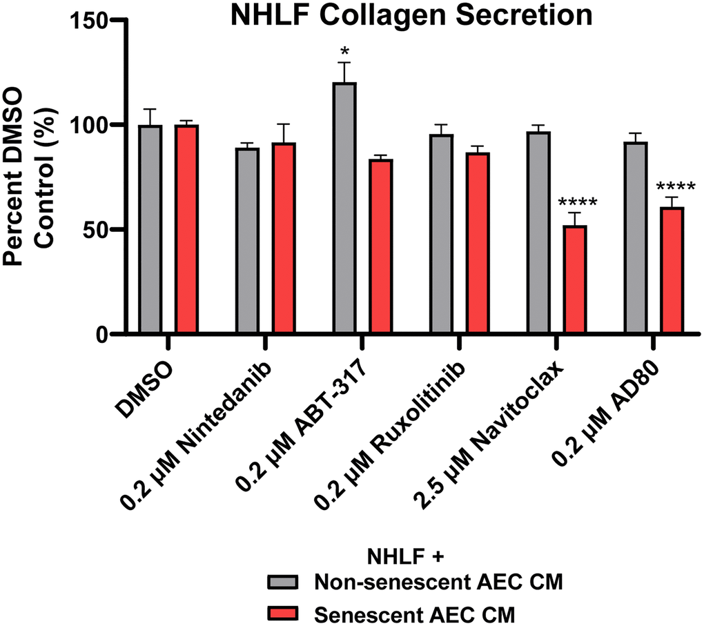 Senolytic tool agent Navitoclax and AD80 attenuate senescent AEC CM-mediated collagen secretion. Conditioned medium with 2.5 μM Navitoclax and 200 nM Nintedanib, ABT-317, ruxolitinib, or AD80 AEC treatment conditions from Figure 5 were diluted 1:3 in fibroblast starve medium and transferred to NHLFs for 5 days. Supernatants were assayed for collagen 1 with MSD kits. Data are presented as a percentage of the DMSO control in the matched treatment condition. Statistical analysis was performed using a two-way ANOVA and a Dunnett’s multiple comparisons test in GraphPad Prism versus each group’s DMSO control: *p ****p n = 5 (DMSO controls) or n = 2 (treatments) technical replicates.