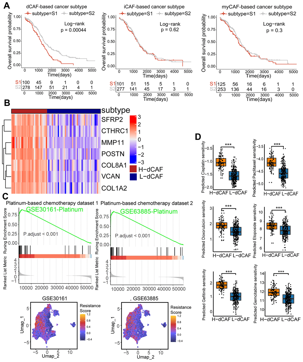 dCAFs were related to prognosis and platinum response in OC. (A) KM survival analysis of CAF-based cancer subtypes. (B) The expression level of dCAF marker genes in dCAF-based cancer subtypes. (C) GSEA of GSE30161- and GSE63885-derived platinum resistance gene in dCAF-based cancer subtypes. Feature plot of these genes in stromal cells. (D) IC50 of drugs including cisplatin, paclitaxel, gemcitabine, gefitinib, doxorubicin, and etoposide in dCAF-based cancer subtypes, calculated by pRRophetic algorithm. (***p p p 