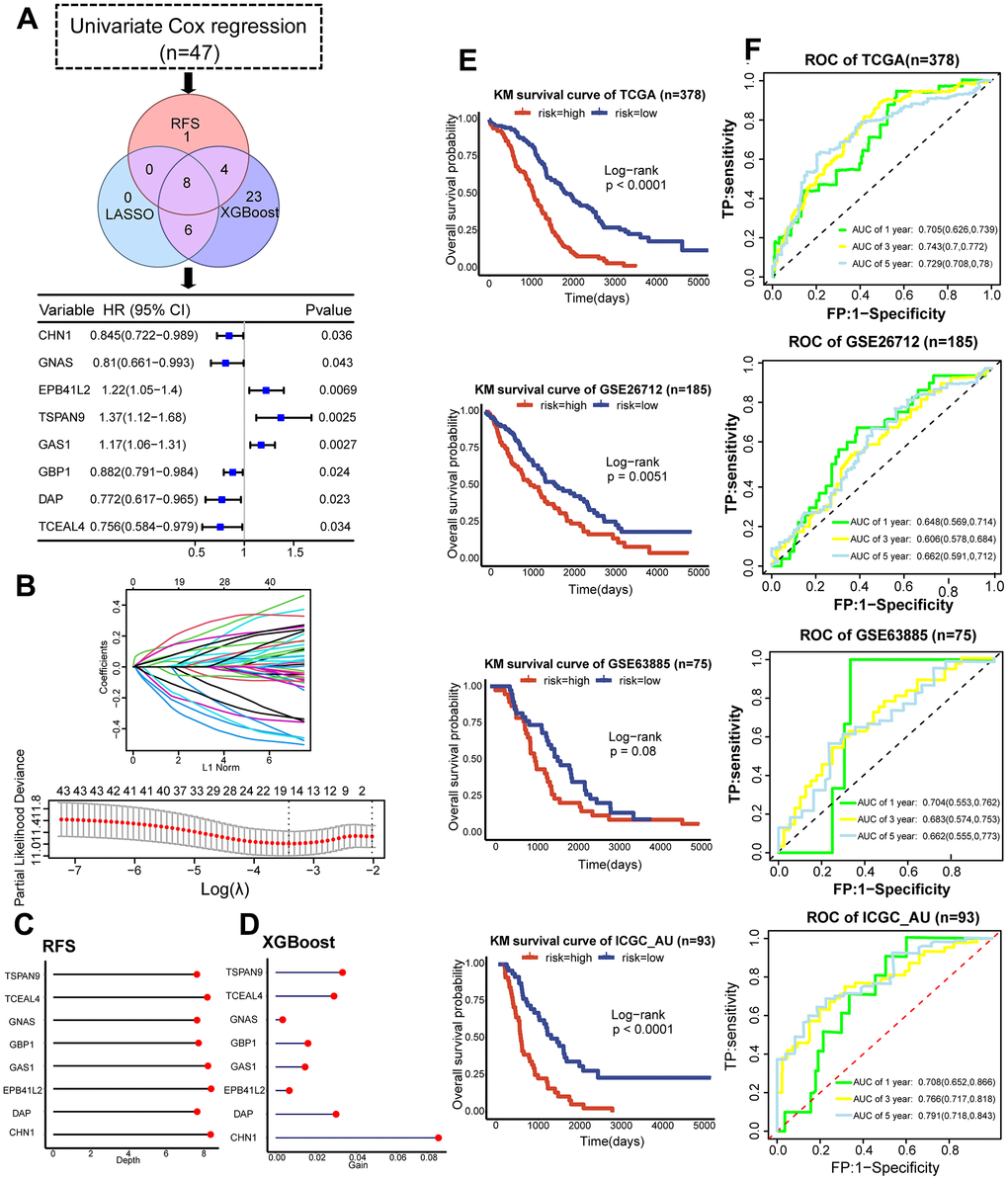 Development and validation of the dCAF-based prognostic signature. (A) Workflow for feature gene selection and HR values of the 8 feature genes with 95% CI. (B) Characteristics of coefficient changes of variables; selection of tuning parameter λ and the corresponding number of variables through cross-validation in LASSO model. (C) Depths of feature genes calculated by the RSF model. (D) Gain values of feature genes calculated by the XGBoost model. (E) KM survival analysis was performed in the low- and high-risk groups categorized by the median risk score in the training set (TCGA) and validation sets (GSE63885, GSE26712, ICGC