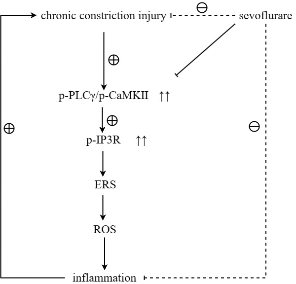 class="figure-viewer-img"