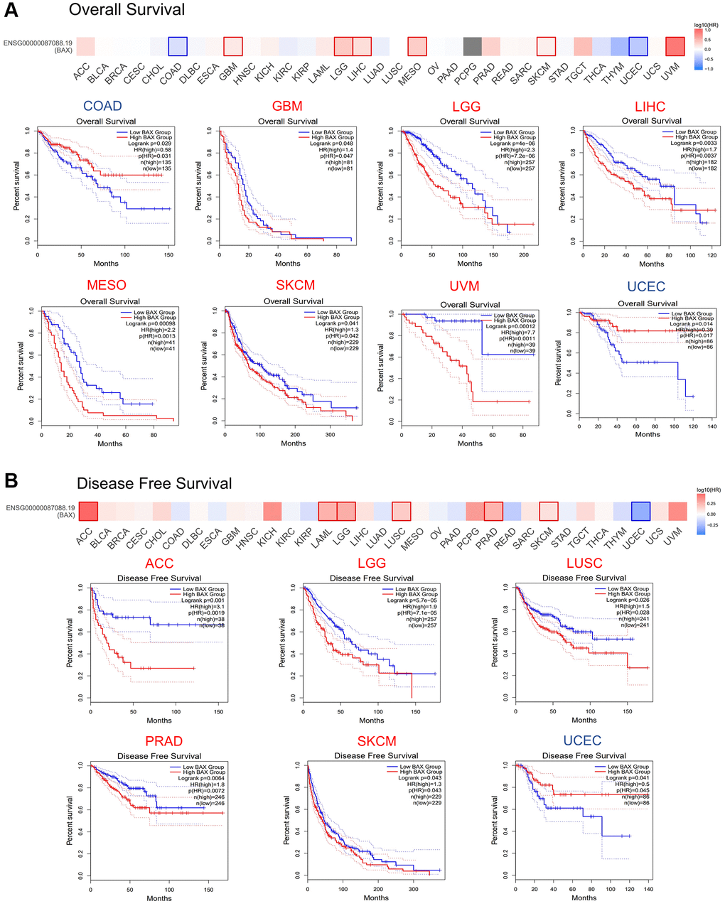 Prognostic value of BAX in TCGA database. (A) Relationship between BAX expression level and overall survival data in GEPIA2.0. (P B) Relationship between BAX expression level and disease-free survival data in GEPIA2.0. (P 