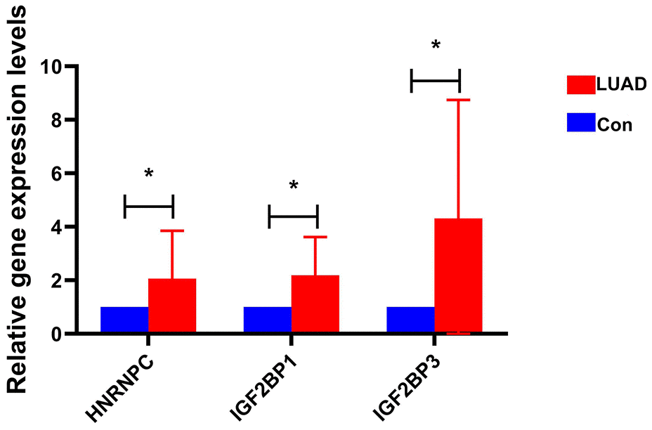 The expression of HNRNPC, IGF2BP1 and IGF2BP3 in early-stage LUAD was verified by RT-PCR. * represents P