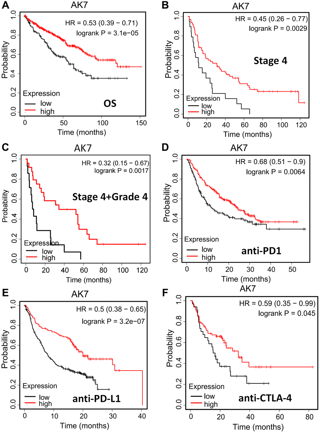 AK7 can be used as a prognostic indicator and a predictor of immunotherapy effect in ccRCC patients. (A) In pancarcinoma, patients with high expression of AK7 have a better prognosis than those with low expression. (B) In ccRCC, patients with high expression of AK7 had longer OS than those with low expression. (C) In ccRCC at stage 4, patients with high expression of AK7 had longer OS than those with low expression. (D–F) In patients treated with anti-PD1 (D), anti-PD-L1 (E), and anti-CTLA-4 (F), high expression of AK7 has a better prognosis. *P **P ***P ****P 