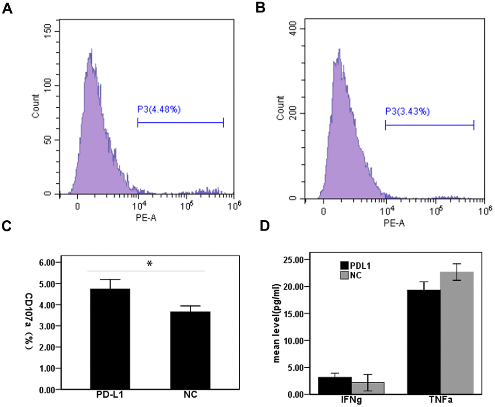 Effect of PD-L1 in circulating exosomes on CD8+T cell cytotoxicity in patients with hepatocellular carcinoma. (A) PD-L1 antibody blocking; (B) Isotype control antibody blocking; (C) Comparison of CD107a expression levels between two groups; (D) Comparison of cytokine expression levels between two groups.