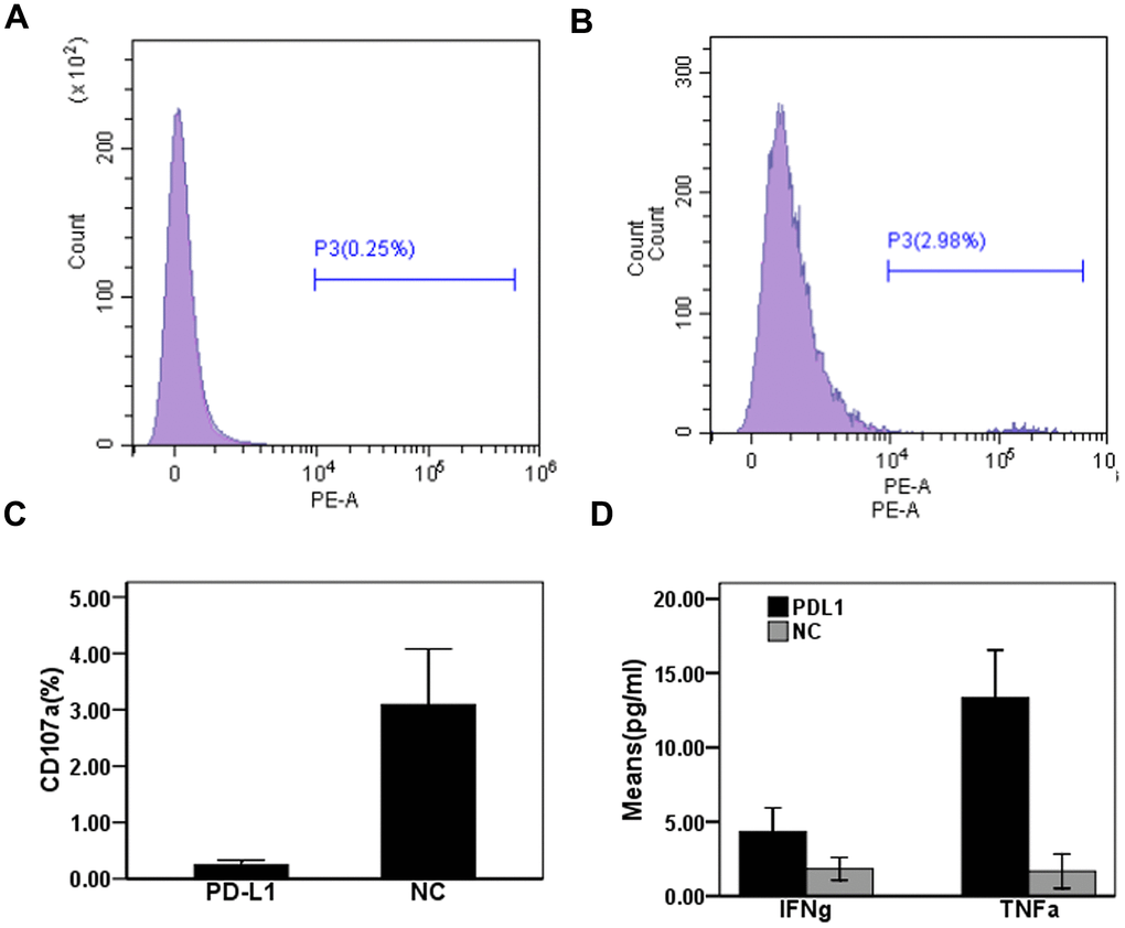 Effect of PD-L1 in circulating exosomes on CD8+T cytotoxic function in patients with chronic hepatitis B. (A) PD-L1 antibody blocking; (B) Isotype control antibody blocking; (C) Comparison of CD107a expression levels between two groups; (D) Comparison of cytokine expression levels between two groups.