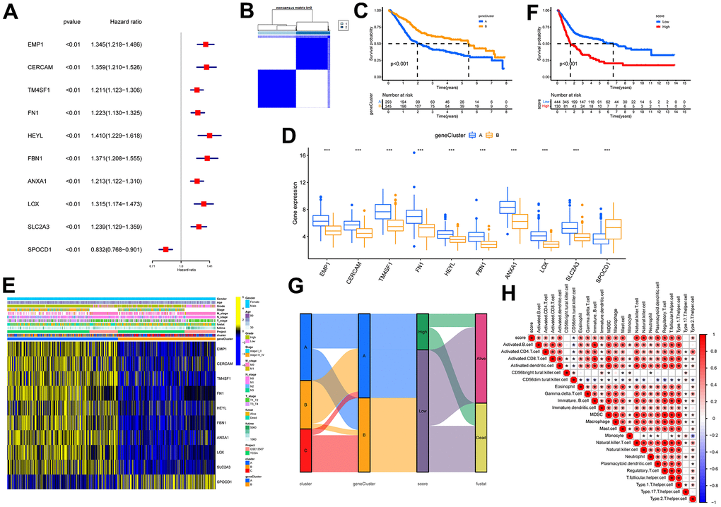 Identification of molecular subtypes and prognostic signature. (A) Forest plots for the univariate regression analysis of the 10 signature genes. (B) Consensus matrix plots based on signature genes. K = 2 was determined as the optimal clustering number. (C) Kaplan-Meier survival analysis in molecular subtypes A and B. Patients in subtypes A were related to a poorer prognosis than those in subtypes B. (D) Differential expression of signature genes in molecular subtypes. *** indicates pE) Heatmap of the signature gene expressions among molecular subtypes A and B. (F) Kaplan-Meier survival analysis between high- and low-score groups. Patients in high-score groups were related to a poorer prognosis compared to those in low-score groups. (G) Sankey diagram showing the dynamics of individual clusters concerning survival status. (H) Heat map of the correlation between prognostic signature score and immune cell infiltration. Red represents a positive correlation, blue represents a negative correlation; * indicates p