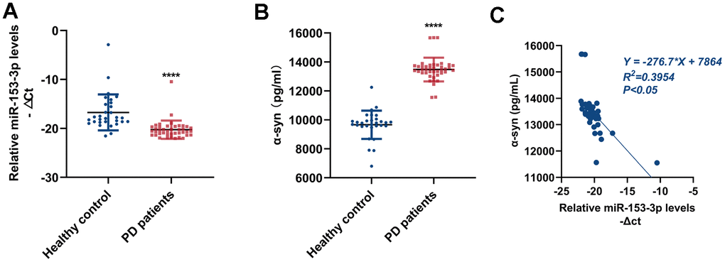 MiR-153-3p expression in peripheral blood is negatively correlated with that of α-syn. (A) The relative level of miR-153-3p within peripheral blood from healthy controls (n = 30) and PD patients (n = 41). (B) The expression of α-syn within peripheral blood from healthy controls (n = 30) and PD patients (n = 41). (C) Correlative analysis between miR-153-3p and α-syn expression within peripheral blood. Data are shown as the mean ± SD.