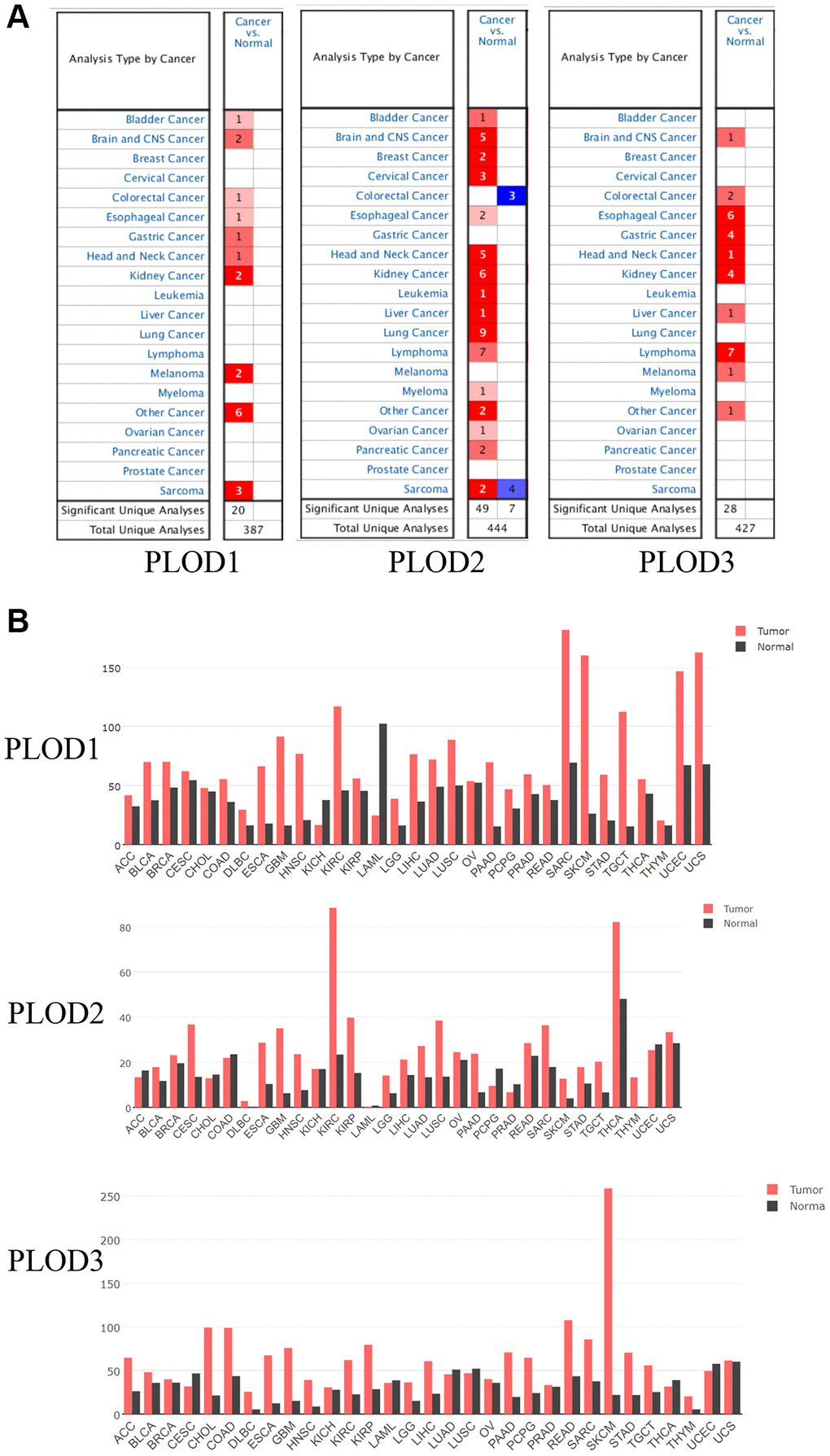 The mRNA expression patterns of PLOD1, PLOD2 and PLOD3 in various cancers. (A) The expression patterns were analyzed by Oncomine database; (B) The expression patterns were showed by GEPIA database.