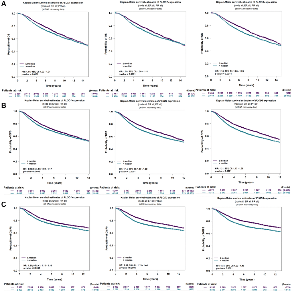 The value of prognosis in PLOD family genes in breast cancer using bc-GeneExMiner 4.6 software. (A) OS; (B) DFS; (C) DMSF.