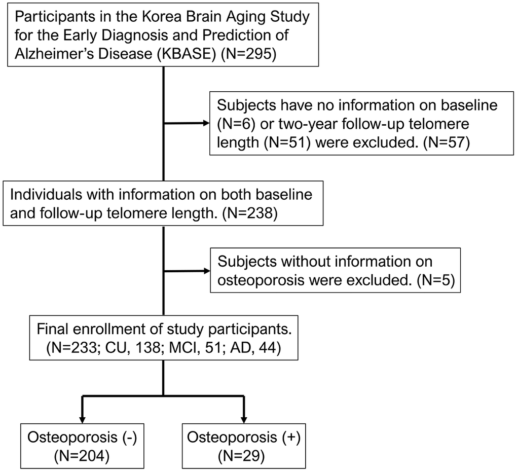 Flowchart of the analyzed subjects in the KBASE cohort. KBASE, Korean Brain Aging Study for the Early Diagnosis and Prediction of Alzheimer’s Disease.