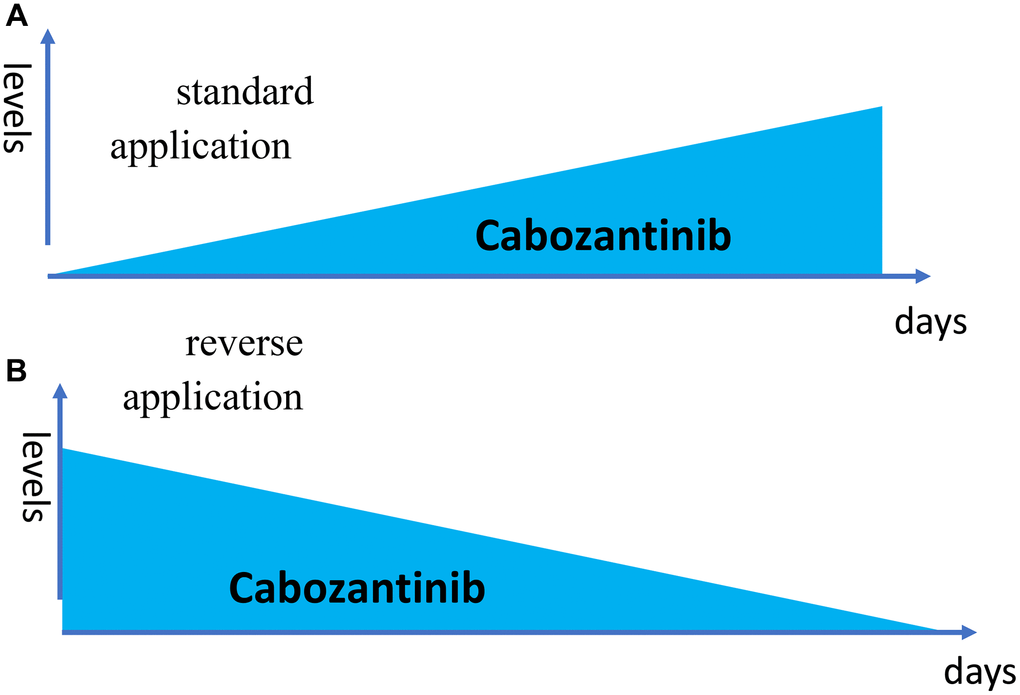 Reverse dose application. (A) The drug is given every day 1 tablets. (B) The drug is given on day 1 only 6 tablets (just one as an example).