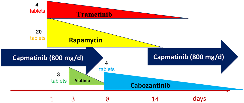 One of my targeted combinations. Capmatinib – standard everyday use. All other medications - reverse dose application -are given on day 1 only. The number of tablets on day1 are shown.