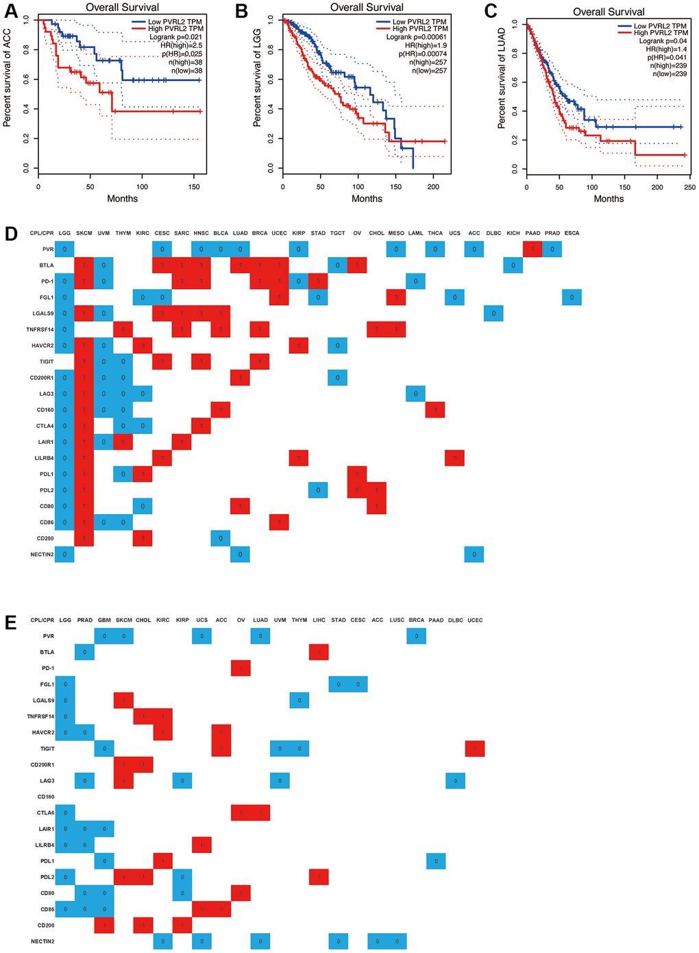 A significant correlation between immune checkpoint receptor/ligand expression and pan-cancer prognostic value is dependent on DriverDBv3. Expression of NECTIN2 was associated with overall survival (OS) in ACC (A), LGG (B), and LUAD (C); (D) Correlation between the expression of 20 immune checkpoint receptors/ligands and OS of various tumors, red: positive correlation, P P P > 0.05; (E) Correlation between the expression of 20 immune checkpoint receptors/ligands and PFS of various tumors, red: positive correlation, P P P > 0.05.