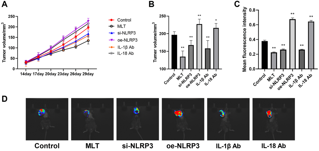 Effects of melatonin and NLRP3 pathway modulation on tumor growth in mice. (A) Subcutaneous tumor volume in mice monitored over time in different treatment groups. (B) Tumor volume after 30 days among different groups compared to the control group. (C, D) In vivo fluorescence imaging and quantification of mean fluorescence intensity in subcutaneous tumors from different groups. *p **p n = 3).