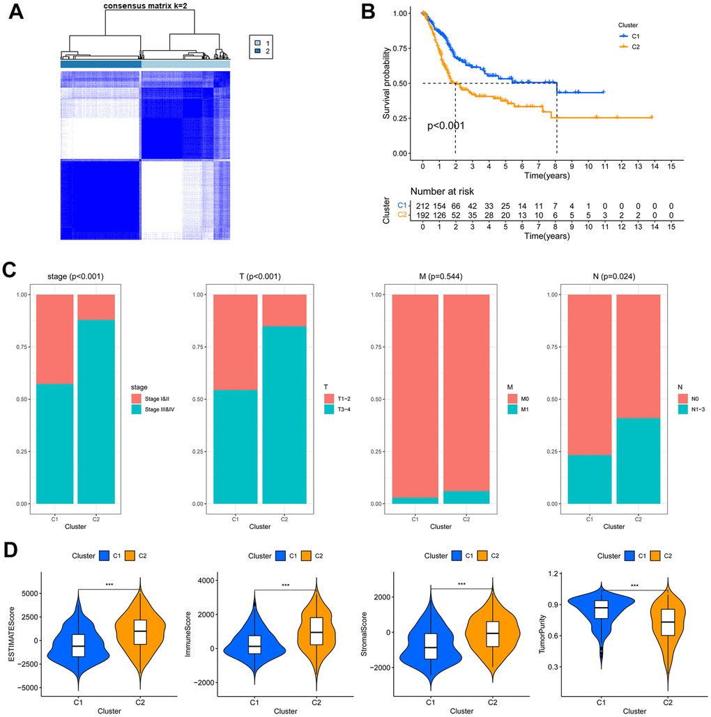 The circadian rhythm-based subgroups of TCGA-BLCA. (A) The TCGA-BLCA was divided into two circadian rhythm-based subgroups via unsupervised clustering. (B) Kaplan-Meier analysis of the OS of C1 and C2 subgroups. (C) Association of the circadian rhythm-related subgroups with stage and pathological T/M/N stages. (D) The ESTIMATE, stromal, immune score and tumor purity of the two circadian rhythm-related subgroups, *** p 