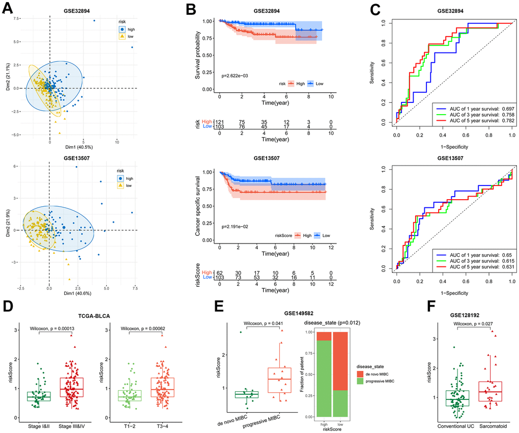 Association of the risk model with overall survival and disease severity. (A–C) The PCA analysis map, Kaplan-Meier survival analysis, and ROC curves of the high- and low-risk patients in GSE32894 (up) and GSE13507 (down) datasets. (D) Plot of risk score according to the stage (left) and T (right) in TCGA-BLCA dataset. (E) Patient’s risk score in de novo MIBC vs. progressive MIBC (left), and composition of the two disease states in high- and low-risk patients (right) in GSE149582 dataset. (F) Patient’s risk score in conventional UC vs. sarcomatoid carcinoma in GSE128192 dataset.