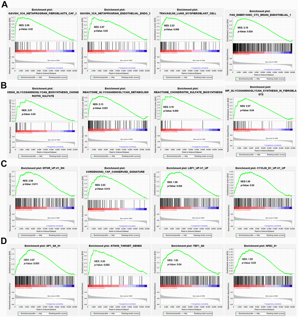 GSEA enrichment between high- and low-risk groups. GSEA enrichment based on (A) the 3CA metaprograms and the cell type signature gene sets, (B) the canonical pathways gene sets derived from the KEGG, Reactome and WikiPathways pathway database, (C) the oncogenic signature gene sets and (D) the transcription factor targets (TFT) gene sets.