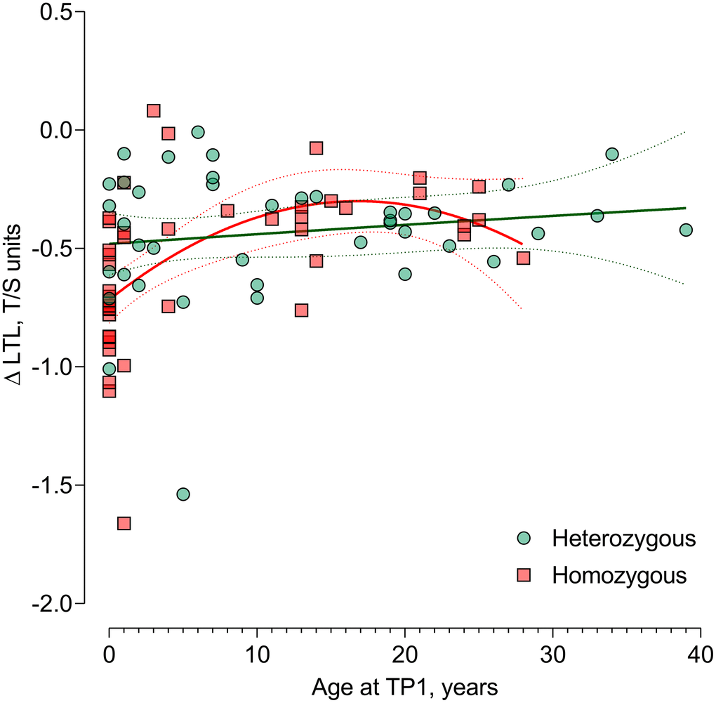 Difference in age-dependent leukocyte telomere length change from timepoint 1 to timepoint 2 in ΔF508 homozygous vs. heterozygous. Non-linear (quadratic) association of age with the LTL attrition in CF patients homozygous for the ΔF508 mutation (n=44) compared with heterozygous patients (n=41) P-interaction between the quadratic term of age at TP1 and genotype (P=0.044), reflecting the genotype-specific non-linear LTL attrition-age association. Abbreviations: TP1: timepoint 1; TP2: timepoint 2; LTL: leukocyte telomere length.