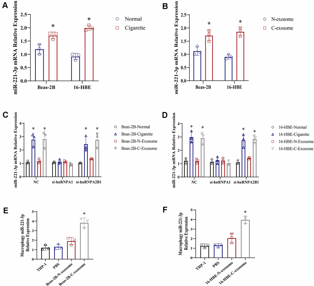 Exosomes derived from cigarette smoke (CS)-exposed epithelial cells contain high levels of miR-221-3p, which are transferred to macrophages. (A, B) qRT-PCR determination of miR-221-3p levels in exosomes from epithelial cells under cigarette conditions. (C, D) qRT-PCR determination of miR-221-3p levels in exosomes from epithelial cells grown under cigarette conditions following transfection with hnRNPA1 siRNAs. (E, F) qRT-PCR determination of miR-221-3p levels in macrophages grown in epithelial cells under cigarette conditions subjected to ultracentrifugation to deplete exosomes (exo-free supernatant). Data are shown as the mean ± SEM (n = 3–5 replicates). *P P P P 