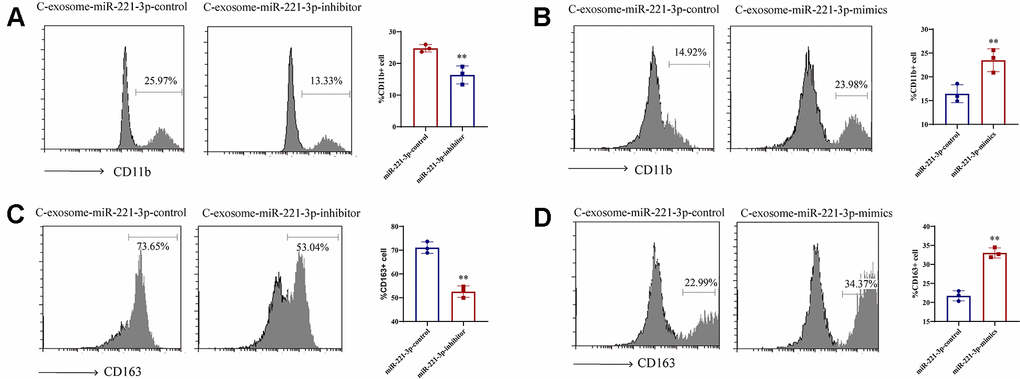 Induction of M1 macrophage differentiation by exosomal miR-221-3p from cigarette smoke (CS)-exposed cells. (A, B) Numbers of CD11b+ monocytes in response to cigarette smoke-induced exosomes miR-221-3p treated with epithelial cells, as assessed using flow cytometry. (C, D) Numbers of CD163+ macrophages in response to cigarette smoke-induced exosomes miR-221-3p, as assessed using flow cytometry. Data are shown as the mean ± SEM (n = 3–5 replicates). *P P P P 